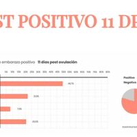 Buscadoras Noviembre 2022 - 6
