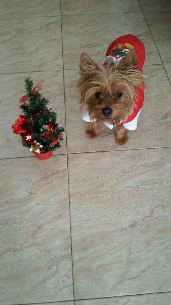 Nuevo integrante de la familia - 2