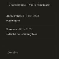 Restringir comentarios en la pagina de blog de boda - 1