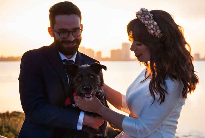 Post boda con 🐶 ❤️ - 2