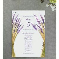 Meseros y setting plan - 1