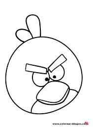 Angry brid