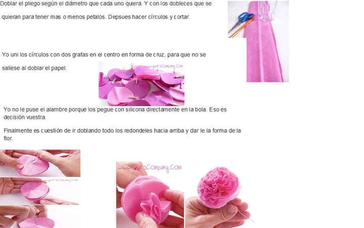 PASO A PASO CLAVELES