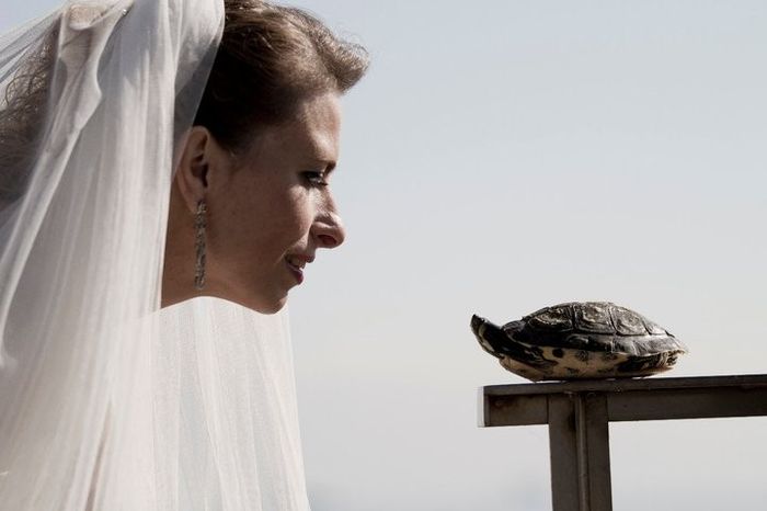 Mi Perrhijo en mi boda 1