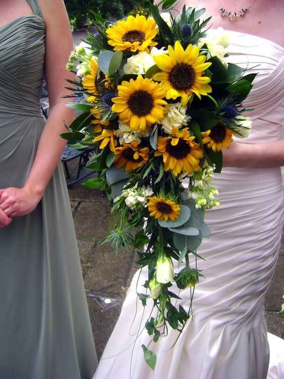 cascada girasoles