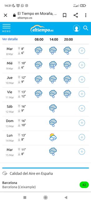 Bodas bajo la lluvia 🌧 8