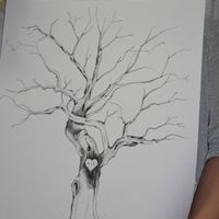 árbol