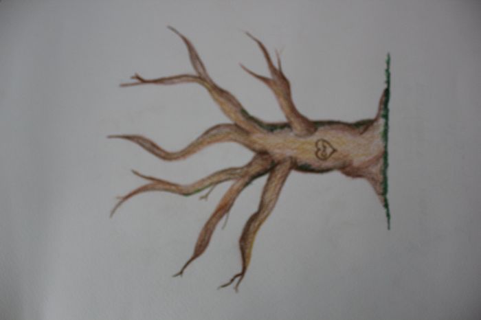 mi arbol de huellas en pocesooo