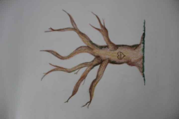 mi arbol de huellas en pocesooo