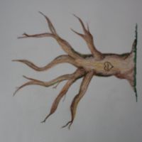 mi arbol de huellas en pocesooo