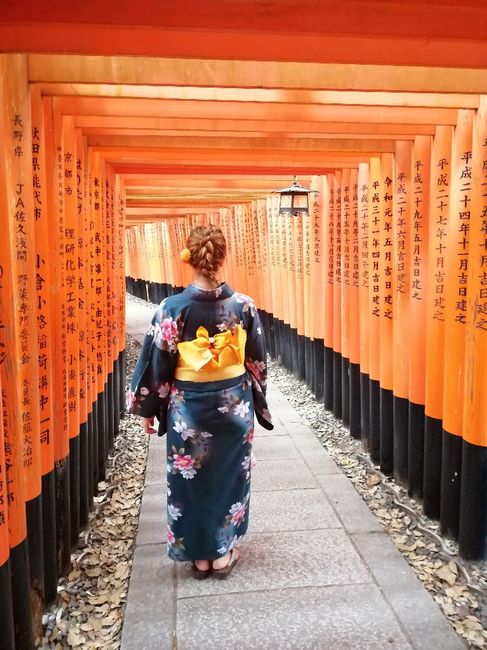 Japón. Consejos - 5