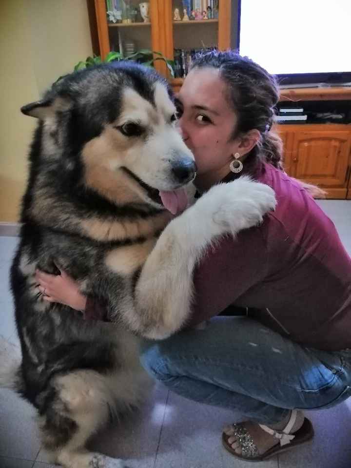 Mi pajecita especial - 2