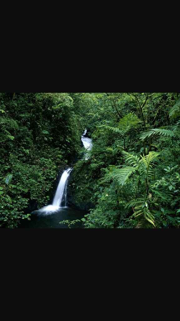 Nuestro destino costa rica - 1