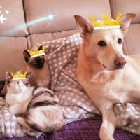 Mis pequeños