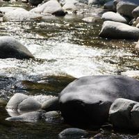 Rio de emociones