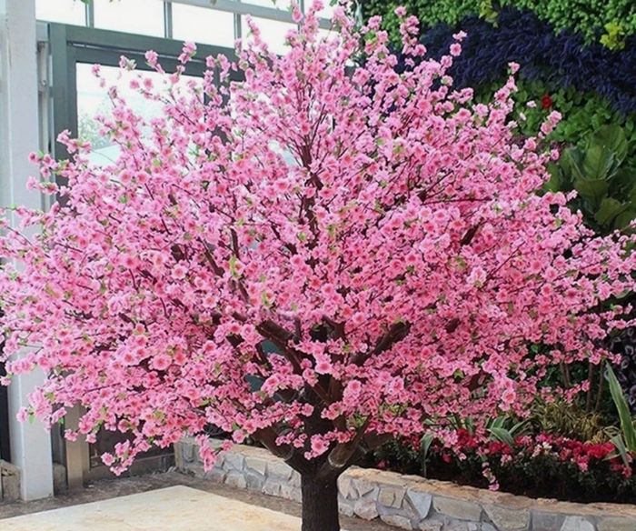 Las flores y decoración 2