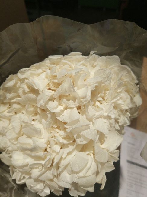 Flores preservadas, pedido para mi ramo. - 8