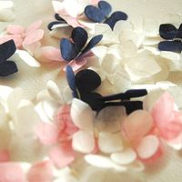Mariposas de arroz