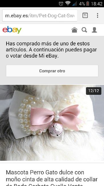 Mis perros vienen a la boda - 2