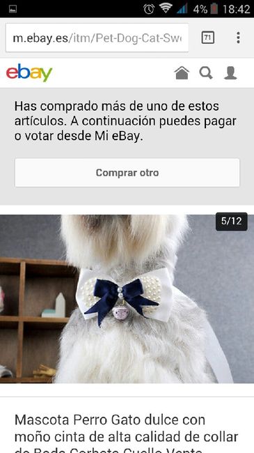 Mascotas boda - 3
