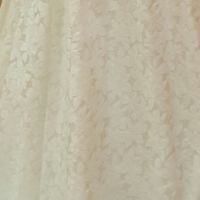 Consejo vestido y zapatos, peinado, tocado... - 1