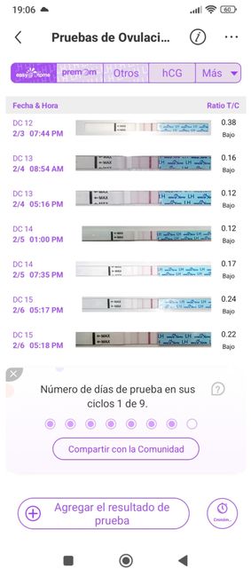 Buscadoras febrero 👑🥐👑🥐👑🥐 2