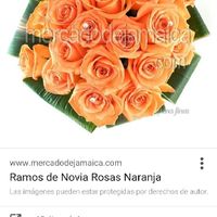 Duda con el ramo, me ayudáis? - 2