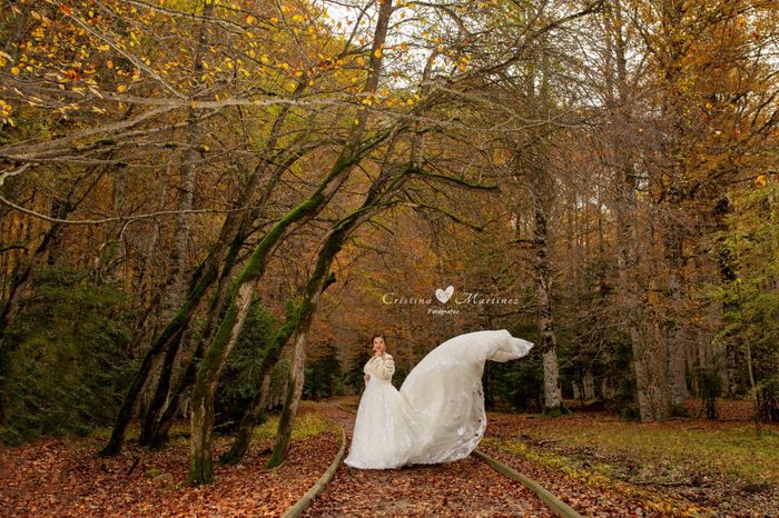 Un adelanto de la postboda - 2