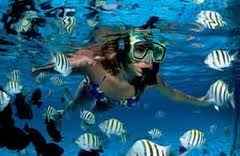 Xel ha