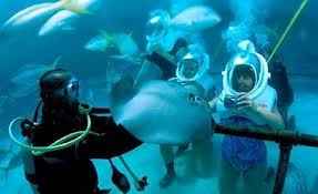 Xel ha