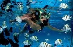 Xel ha