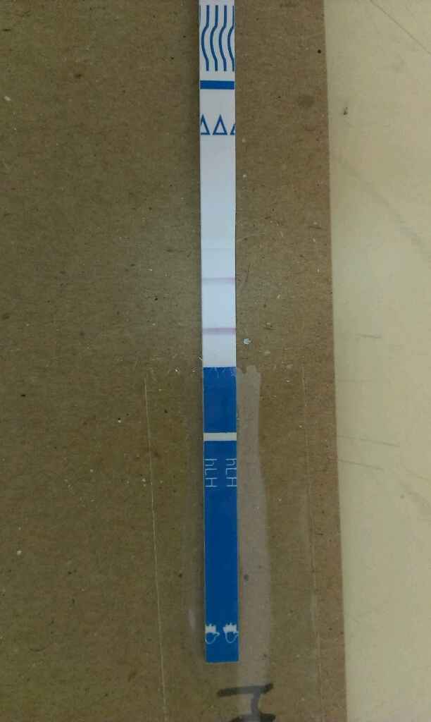 Resuelvo dudas sobre los to (test de ovulacion) - 1