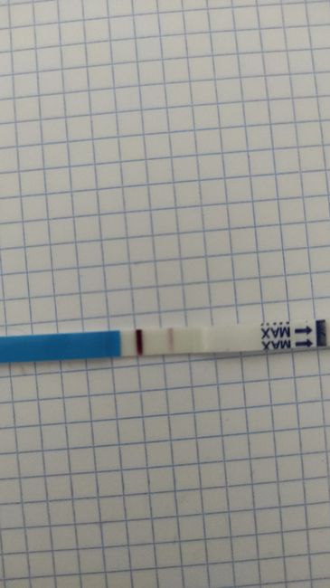 Proceso tratamiento fiv - 1