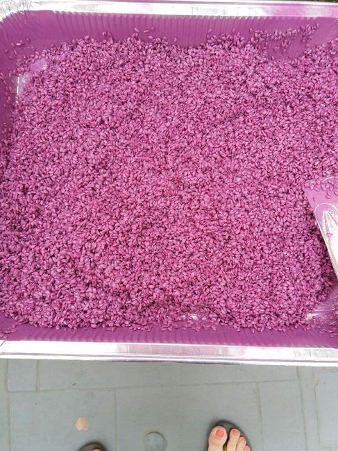 Arroz teñido - 3
