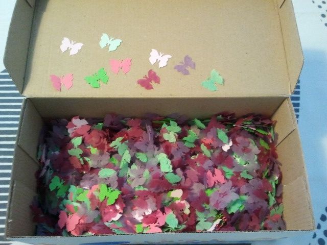 mariposas por arroz