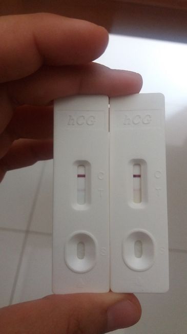 test de embarazo doble