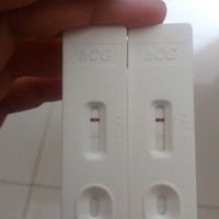 test de embarazo doble