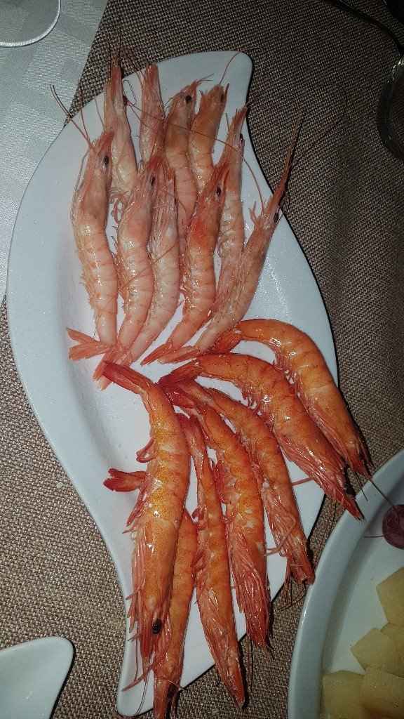 prieba de menu - 6