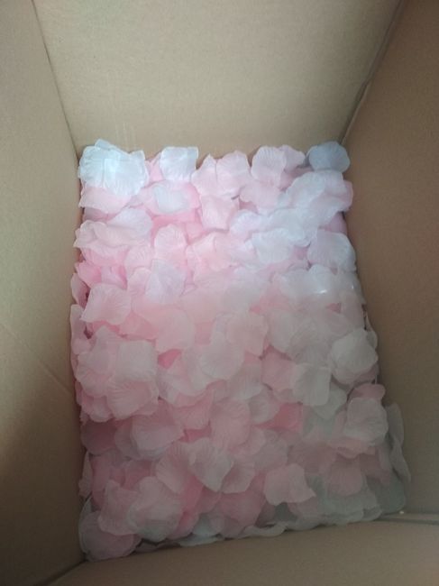 Pétalos de rosas Aliexpress - 2