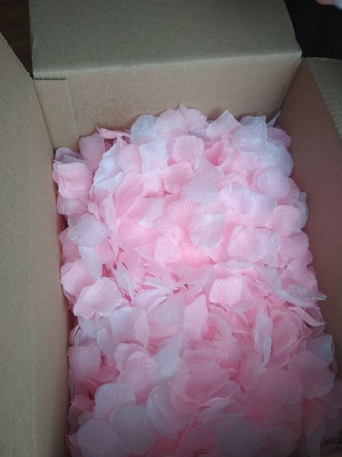 Pétalos de rosas Aliexpress - 5