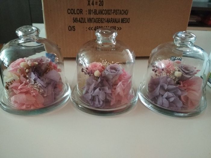 Regalo - 4