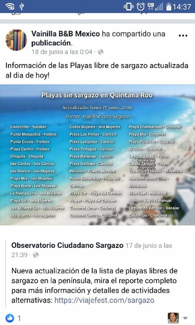 Sargazo septiembre nautalia - 1