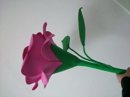 proyecto ramo terminado