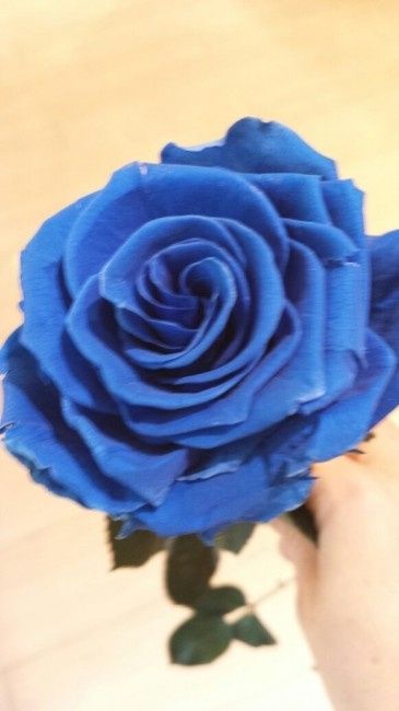 Ramo con rosas teñidas - 1