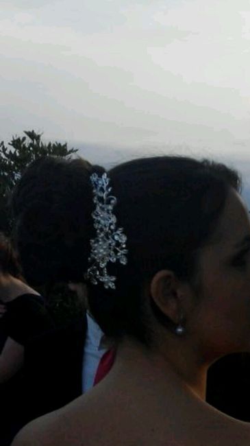 Broche de pelo - 1