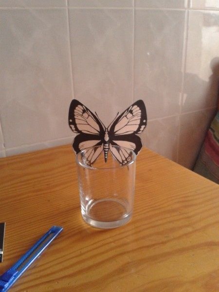 Mis mariposas no aguantan!!! :( - 1