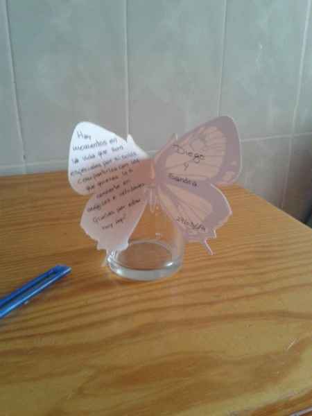 Mis mariposas no aguantan!!! :( - 1