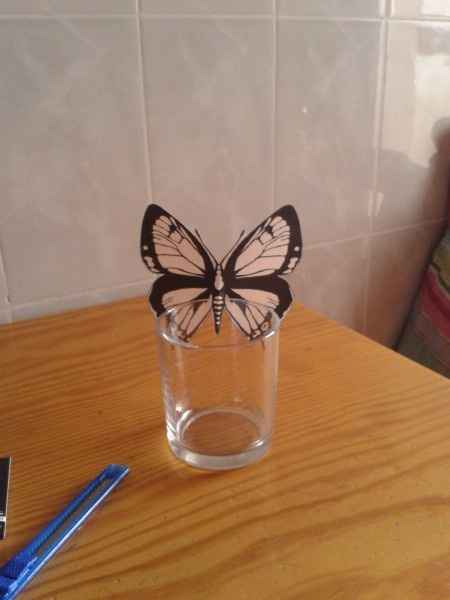 Mis mariposas no aguantan!!! :( - 1