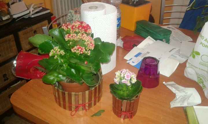 Hemos encontrado las flores!! - 1