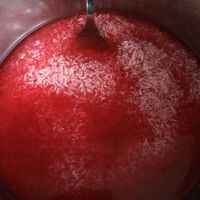 Arroz teñido con colorante alimenticio - 1